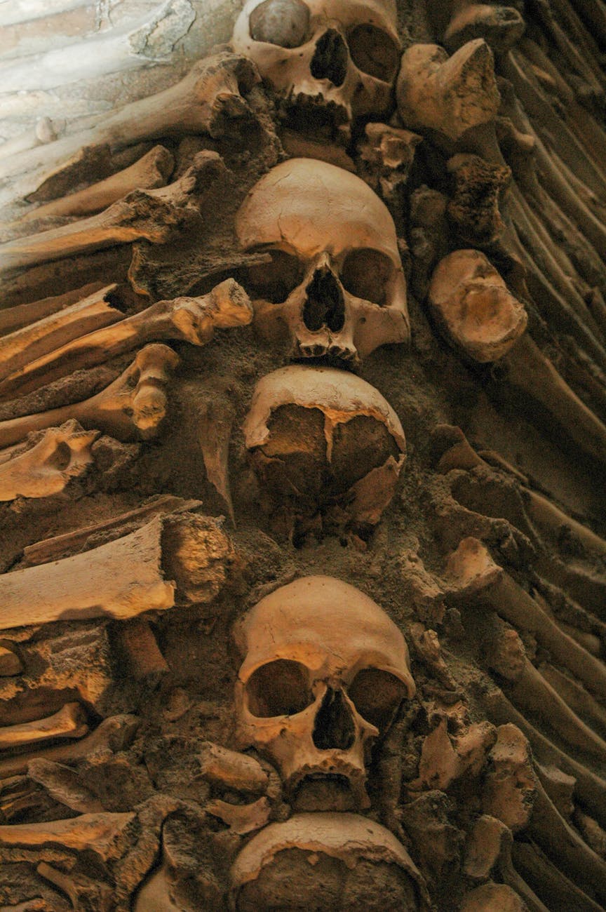 skulls and bones