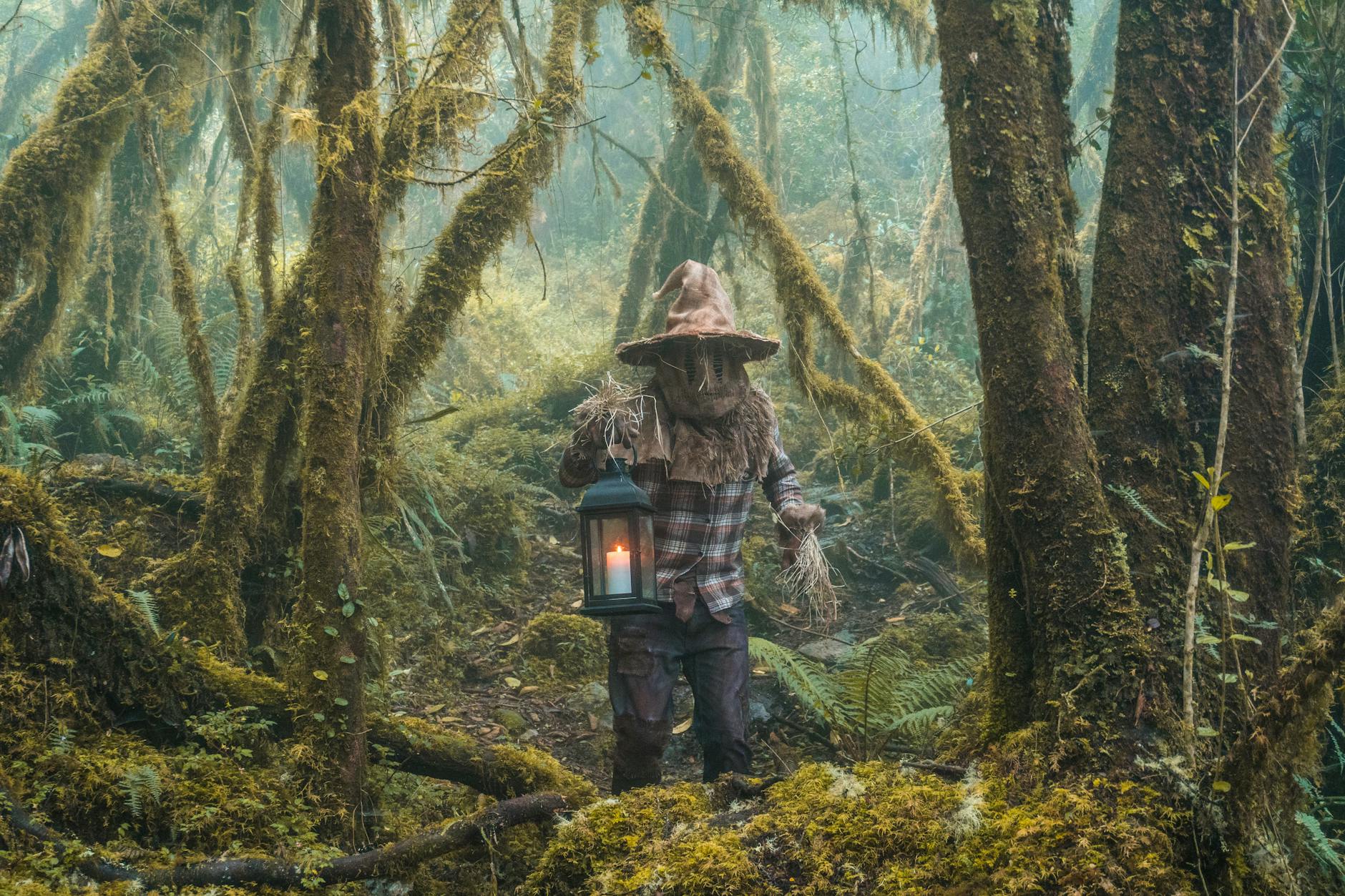 person wearing scarecrow costume in forest
