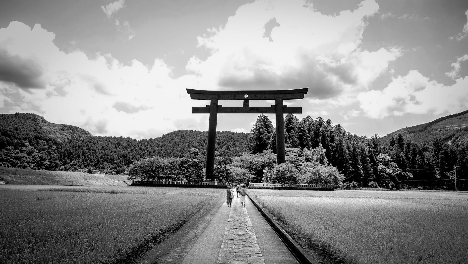 grayscale photography of people walking towards tori gate